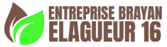 couvreur-entreprise-brayan-elagueur-16